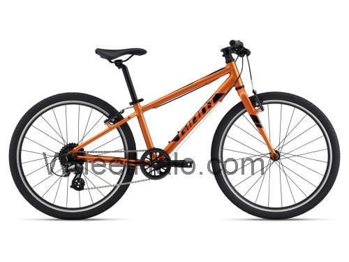 Giant ARX 24 specs and reviews